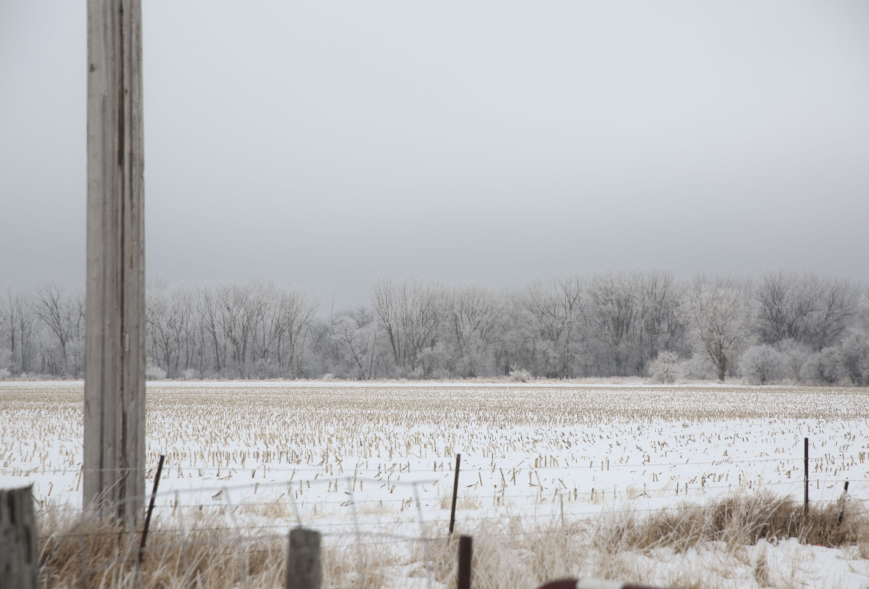 Frosty day - Feb. 2, 2020-8.jpg